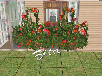 http://www.aussietopenders-sims2.com/images1/Zita_FloweringClimbingVines-small.jpg